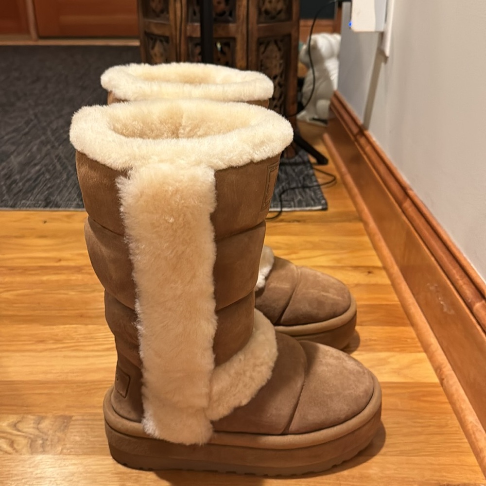 NIB New In Box UGGs - Picture 9 of 10